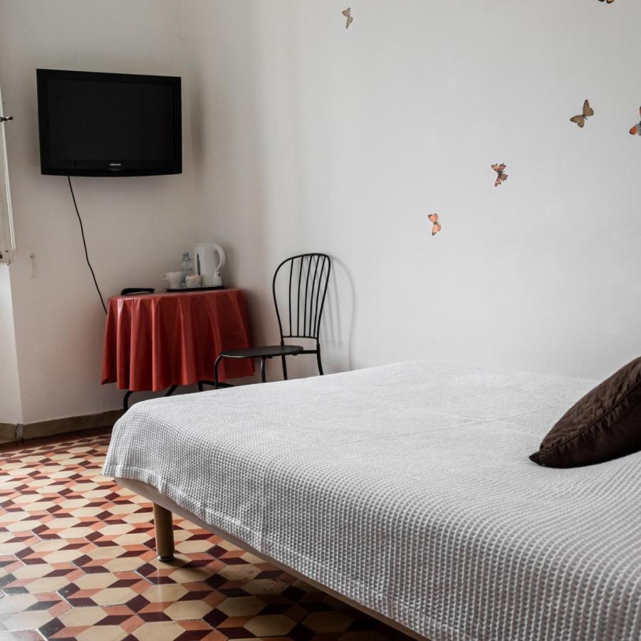 Couette-café Arena Alfieri *